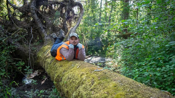 野生动物摄影师在树林里安装了相机，回来时发现了令人惊讶的照片