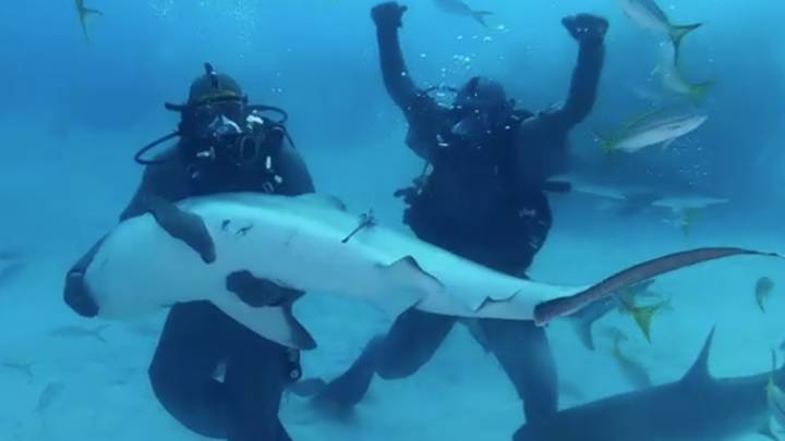 迈克·泰森在探索频道的鲨鱼周中固定住了鲨鱼”imgWitdh=