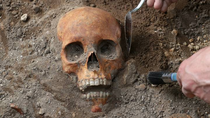 考古挖掘期间发现的中世纪人类的遗迹