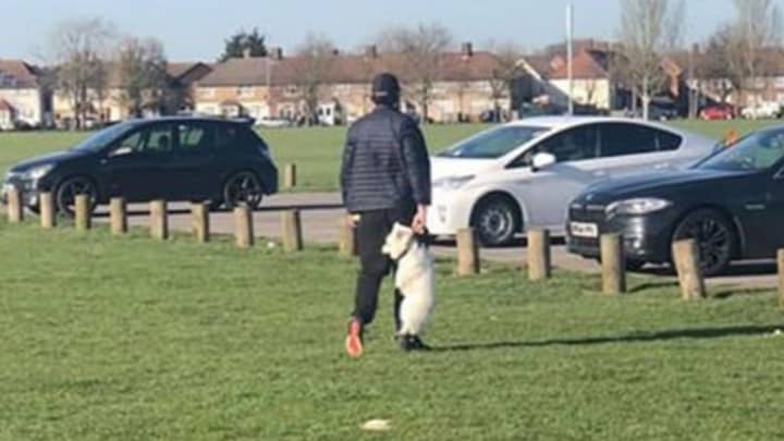 RSPCA在公园里搜索Collar看到的男子背着的狗