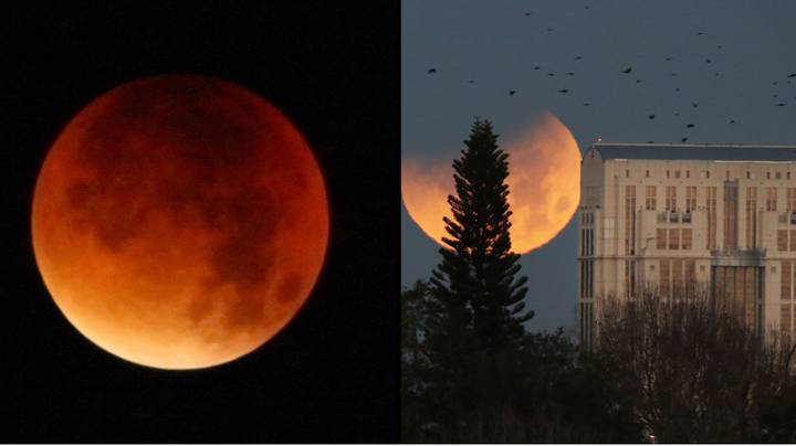 壮观的血红色月亮将在下个月到来“标志着世界末日”