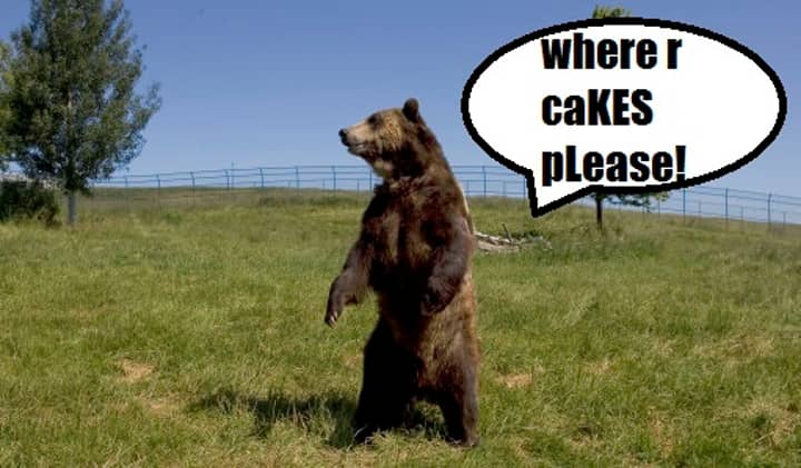 熊从天花板掉进了孩子的聚会，吃了所有的蛋糕
