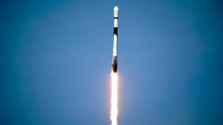 Spacex正在推出DogeCoin资助的火箭到月球