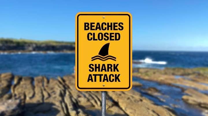 致命鲨鱼袭击后，从邦迪到克罗纳拉的海滩关闭了