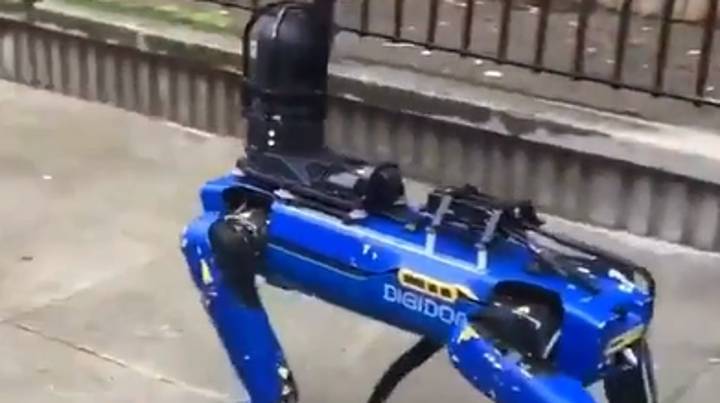 纽约市警察局的机器人狗的剪辑正在使人们爬出来“width=