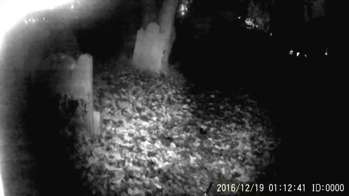 视频显示“幽灵”飞向800年历史的公墓的相机