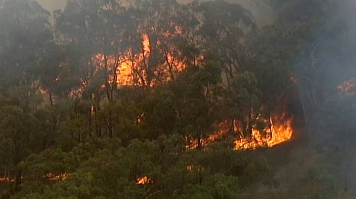 地图显示欧洲多少地区将受到澳大利亚丛林大火的影响