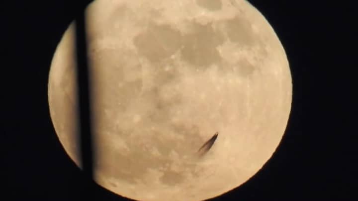 不明飞行物的研究人员声称奇怪的物体“传递月亮”是外星人生活的证明