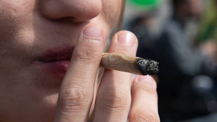 研究发现，吸食大麻会让你的大脑多老3岁