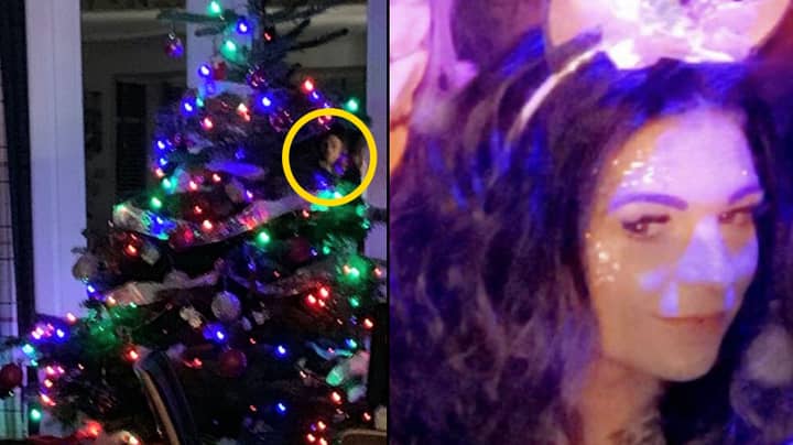 看护者在圣诞树鲍布尔拍摄了“鬼脸”的照片“width=