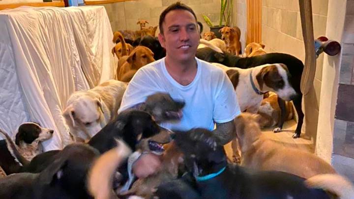 男人从墨西哥飓风中避开他家中的300只狗