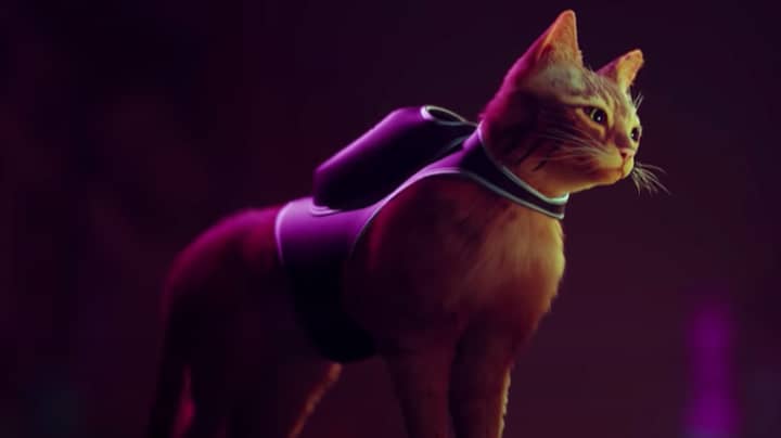 新的PlayStation 5游戏使您可以用迷你背包作为神秘的猫玩耍
