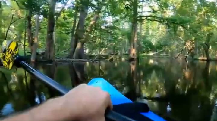 皮划艇在河上与鳄鱼亲密接触