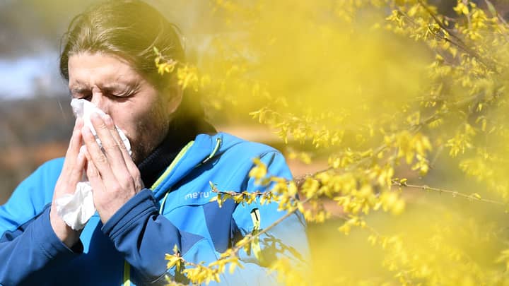 专家解释了为什么您今年的花粉症会感觉更糟