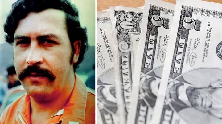 两名前中央情报局特工希望找到帕勃罗·埃斯科巴（Pablo Escobar）的隐藏宝藏