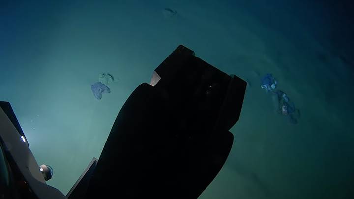 科学家在第一次访问世界第三深的海沟中发现了塑料