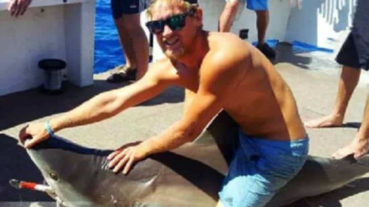 绰号“鲨鱼骑手”在澳大利亚海岸袭击的鲨鱼袭击