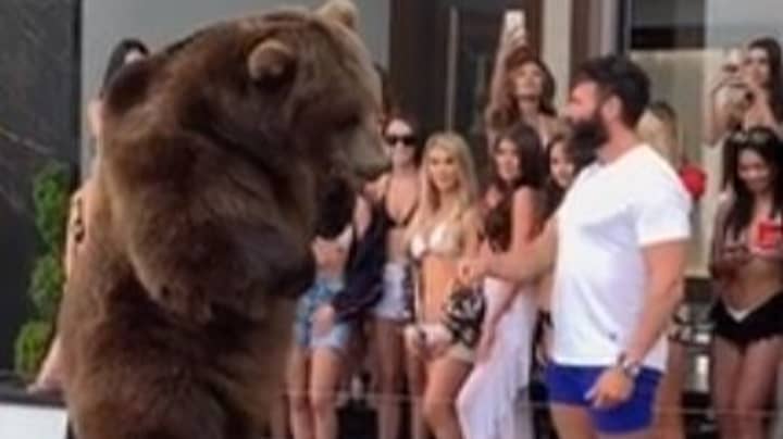 丹·比泽里安（Dan Bilzerian）因在他的4/20派对上喂食熊而受到抨击