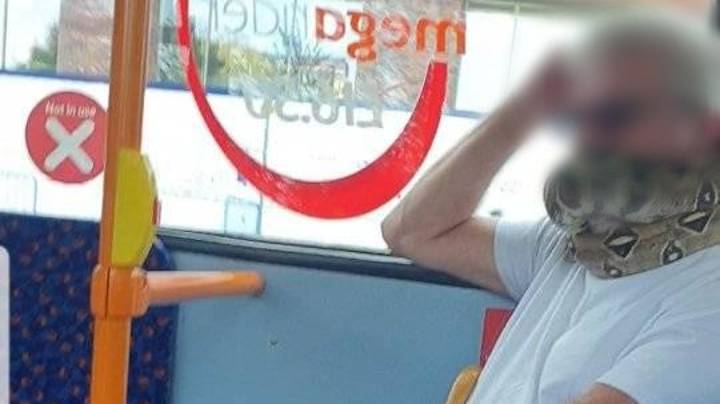 人在更加伟大的曼彻斯特公共汽车佩带的蛇被发现作为面具