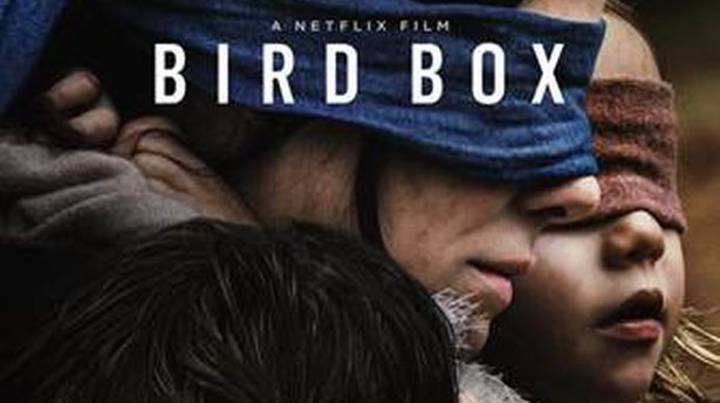 '鸟盒'打破Netflix记录，观看超过4500万“width=