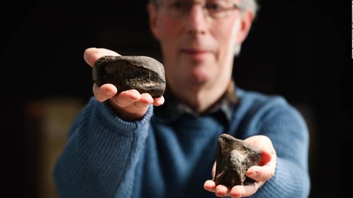 在爱尔兰发现的第一个恐龙化石已被发现