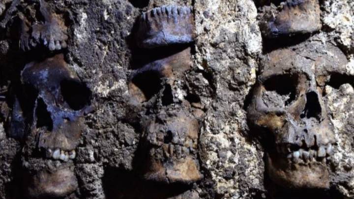 新挖掘期间墨西哥城下面发现了100多个头骨