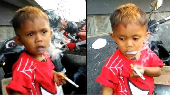2岁的男孩，有40天的吸烟习惯“狂欢”，如果人们不养活他的成瘾