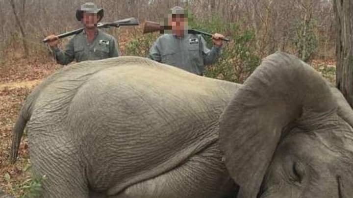 猎人在被杀大象的照片旁边摆姿势后猛烈抨击