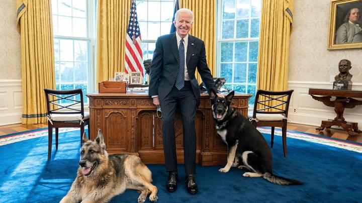 乔和吉尔·拜登欢迎一只叫指挥官的新小狗到白宫