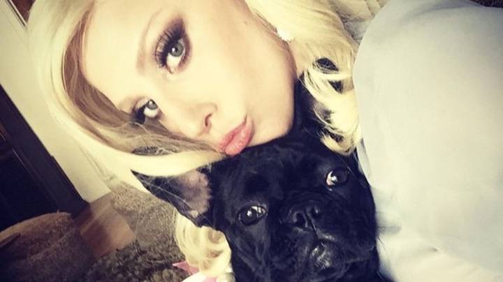据报道，Lady Gaga将为遛狗者支付7万英镑的医疗费用
