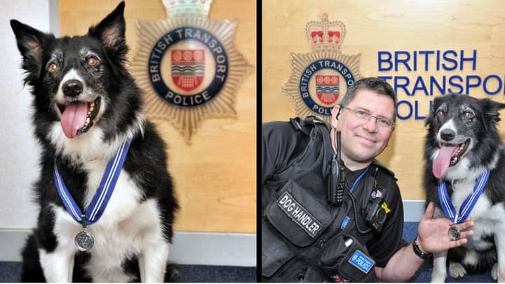 警犬因在曼彻斯特竞技场袭击中的英勇而荣幸