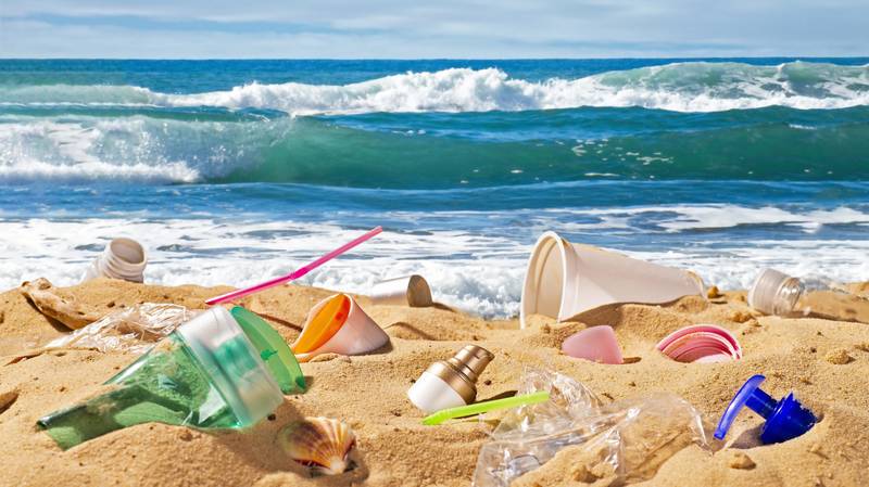 昆士兰州搬到禁止单用塑料吸管，餐具和盘子，以节省海洋生物